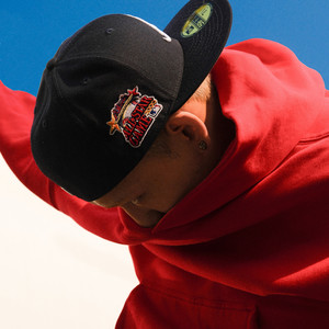 欧美性壮毛熊同性men
