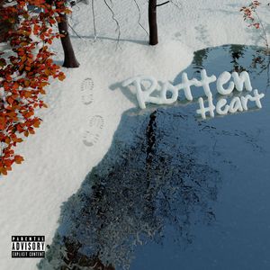 欧美性壮毛熊同性men
