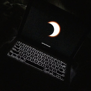 欧美性壮毛熊同性men
